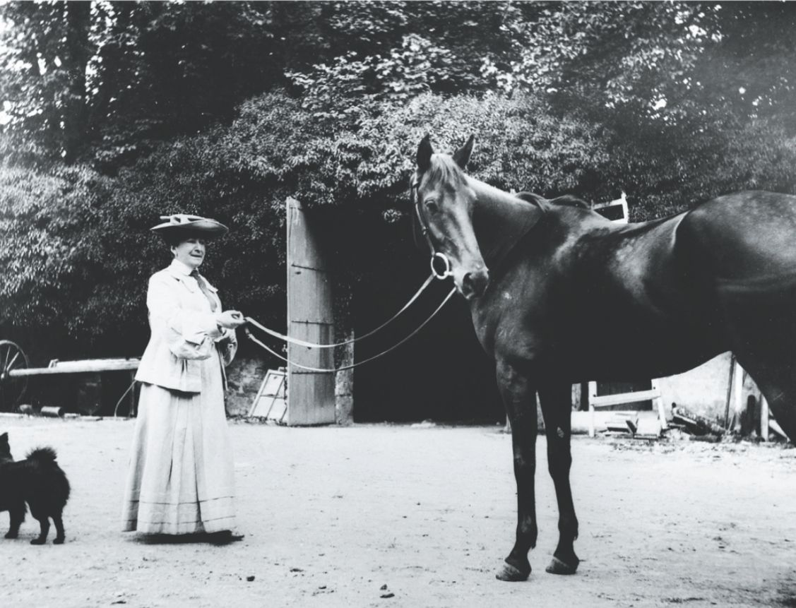 A lady and her horse