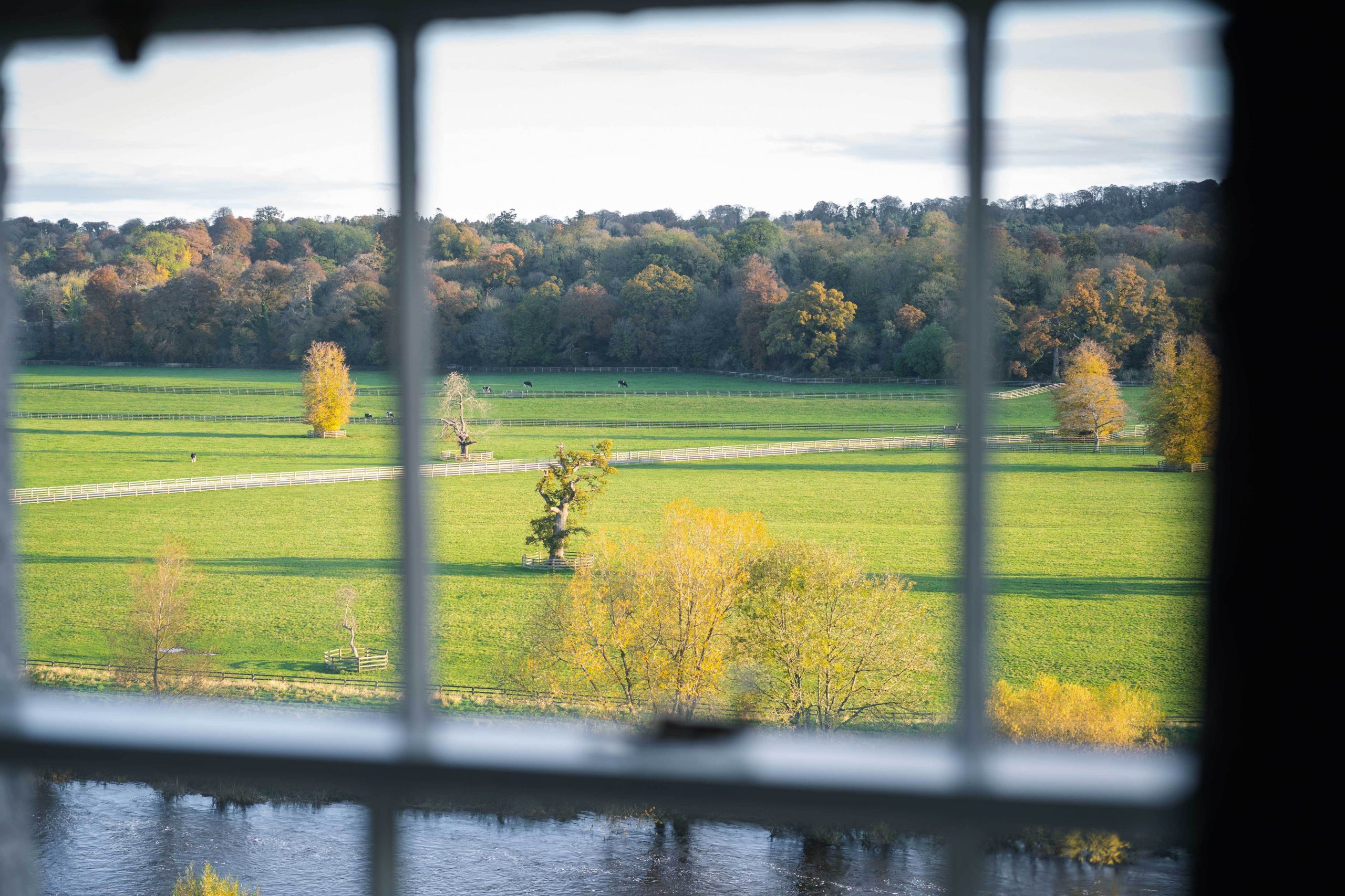 View from the Windows at Mount Juliet Estate