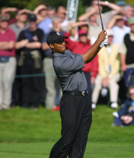 Tiger Woods