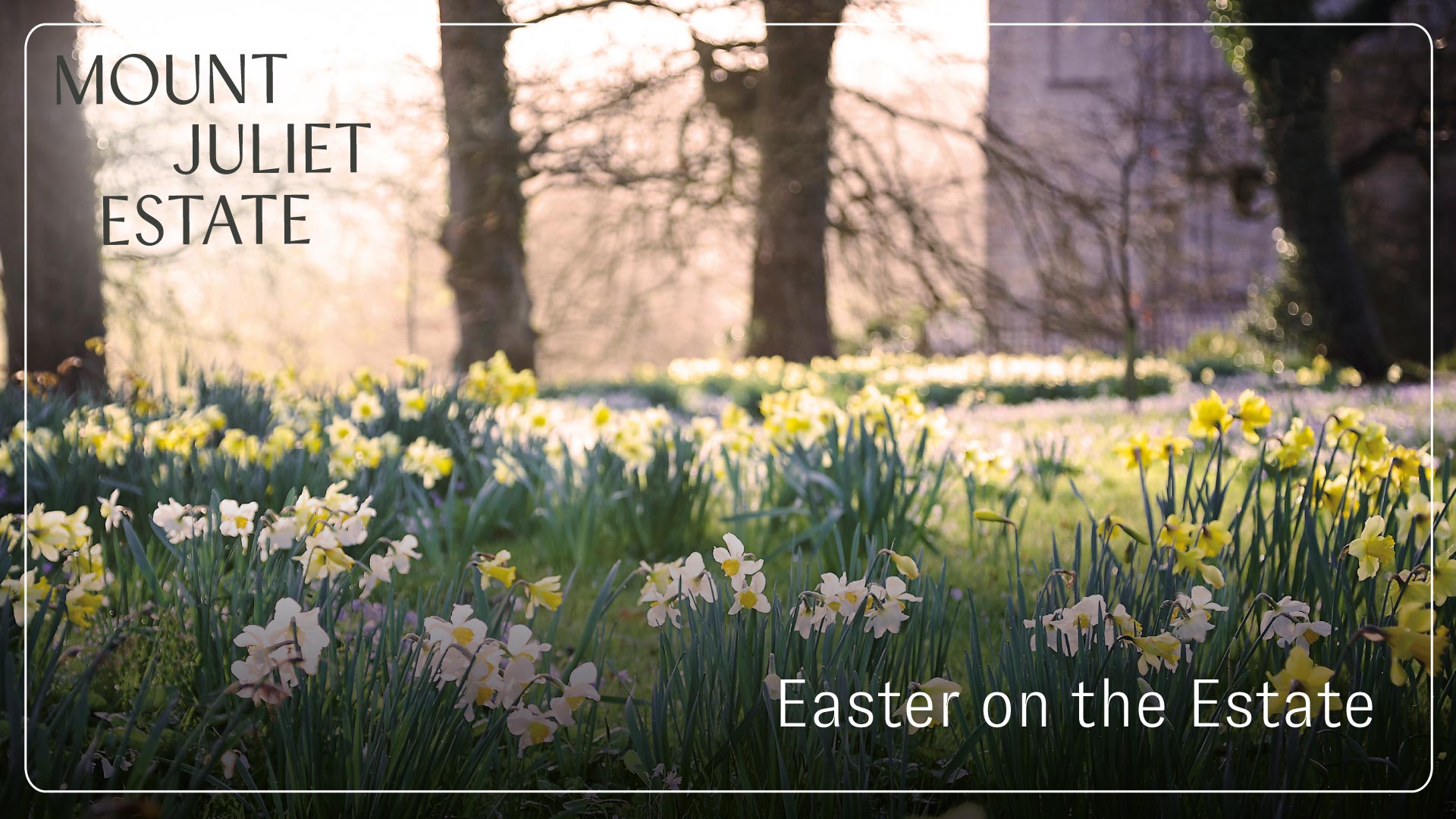 Easter Bed and Breakfast – overnight breaks starting from €266