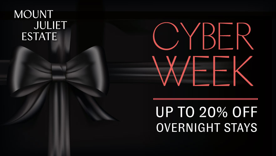 Cyber Offer 2023