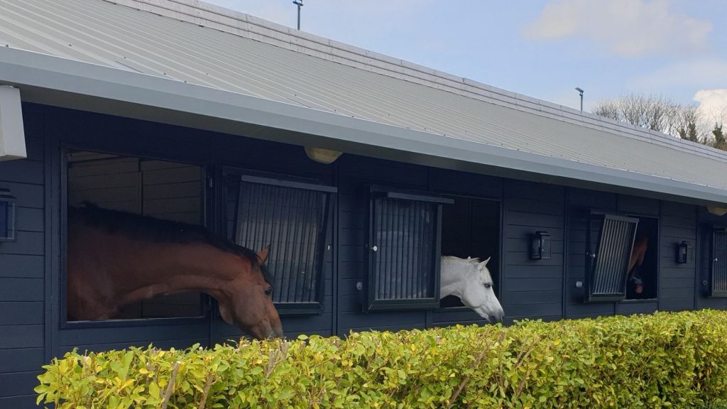 Mount Juliet Equestrian Centre