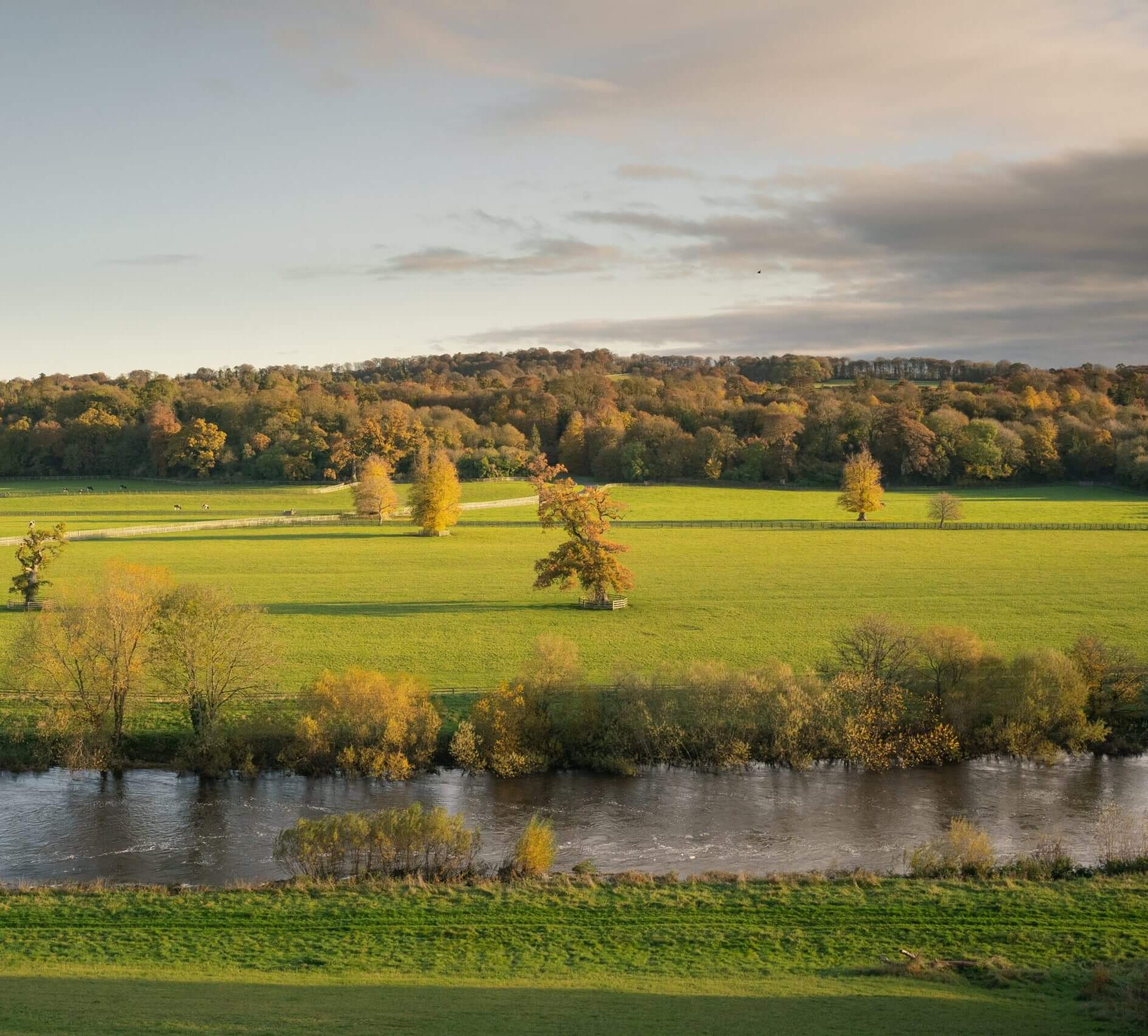 River Nore and countryside at Mount Juliet Estate