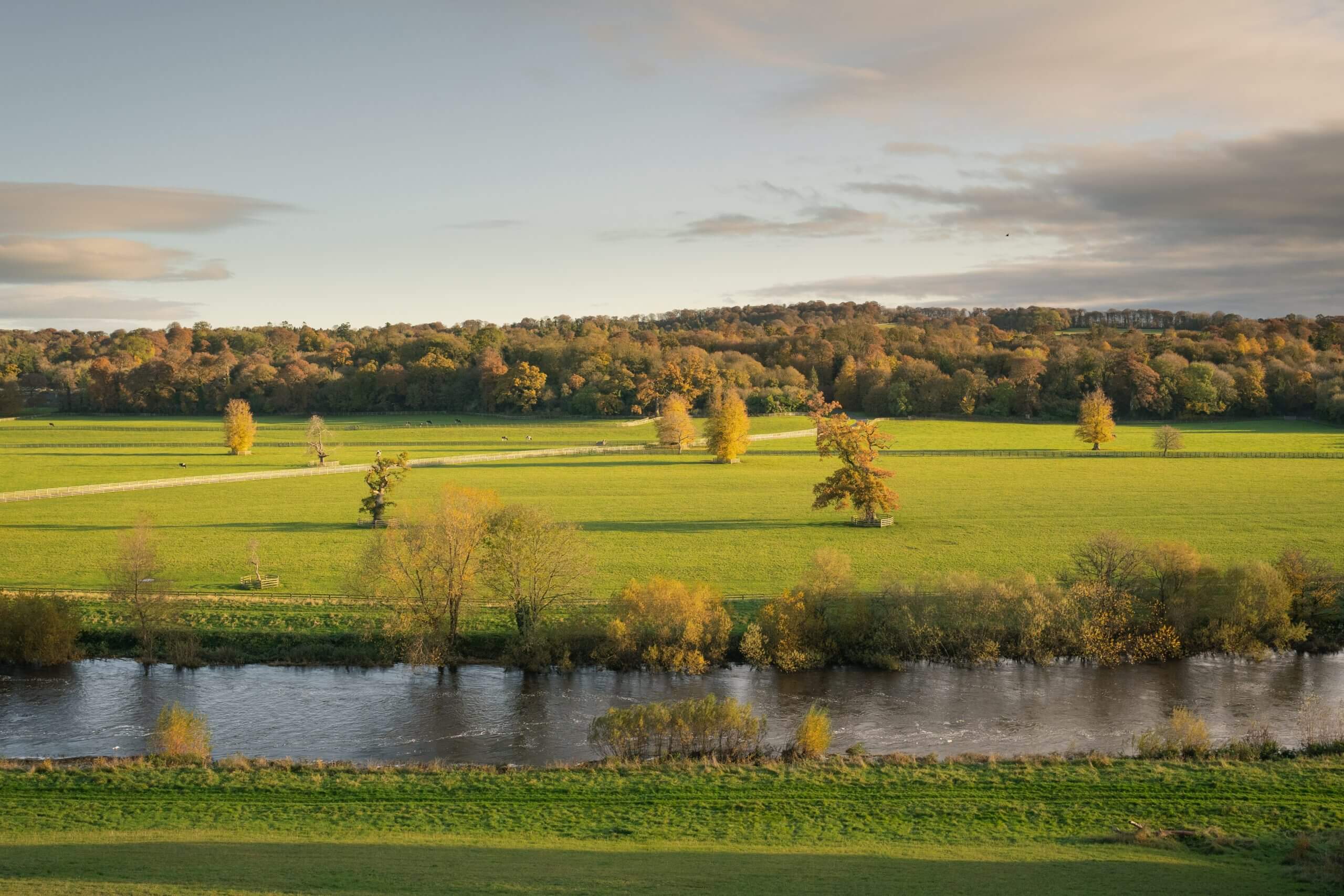 River Nore and countryside at Mount Juliet Estate