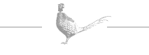 logo-intro