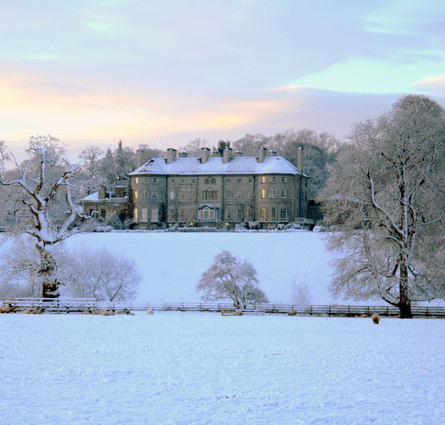 The Manor Christmas